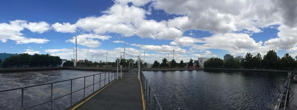 樂中環(huán)?？萍嘉鬯幚韱柎穑?8）：羅茨鼓風(fēng)機(jī)的構(gòu)造，羅茨鼓風(fēng)機(jī)的優(yōu)點(diǎn)和缺點(diǎn)有哪些