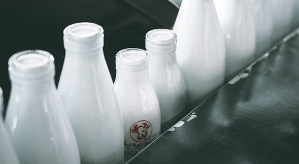 牛奶加工廢水-青島樂中環(huán)?？萍加邢薰? /> 
</p>
<p style=