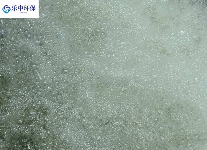 溶氣氣浮機(jī)泡沫多什么原因？如何解決？