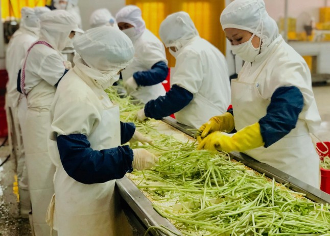 三種食品污水處理設(shè)備工藝流程，看看哪種適合您？