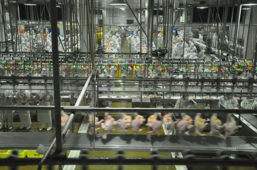 食品加工企業(yè)污水處理方案|方法|工藝流程 食品加工企業(yè)污水處理方案|方法|工藝流程